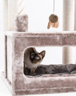 Petrebels Lodge 107 Krabpaal - Cappuccino - Design - Zeer Stabiel -Katten En Honden Verkoop Winkel 943x1200