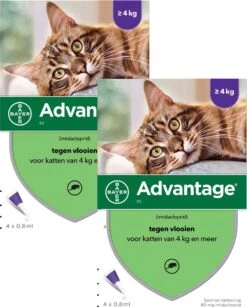 Bayer Advantage 80 Kat 4 Pip - Anti Vlooienmiddel - 2 X 0.8 Ml - > 4 Kg 5 Bayer Advantage 80 Kat 4 Pip - Anti Vlooienmiddel - 2 X 0.8 Ml - > 4 Kg -Katten En Honden Verkoop Winkel 965x1200